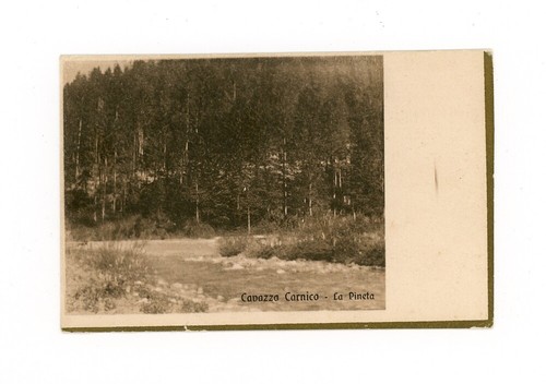 Cavazzo carnico pineta ferro - carnico,