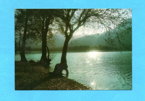856 cartolina lago cavazzo - 856-cartolina-,