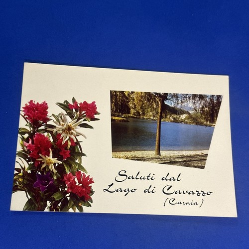 Saluti dal lago - saluti,